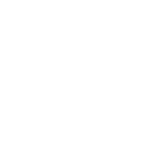 Ícone Dash